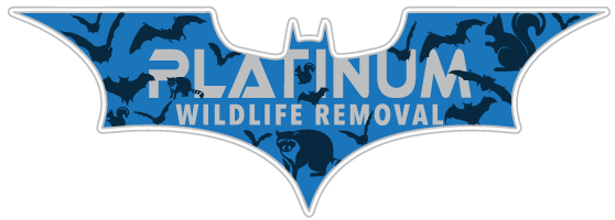 Wildlife Control Jennings County